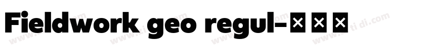 Fieldwork geo regul字体转换